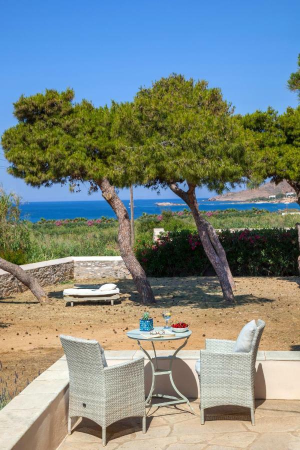 Dellagracia Mansion In Poseidonia Syros Villa Posidhonia  Exterior photo