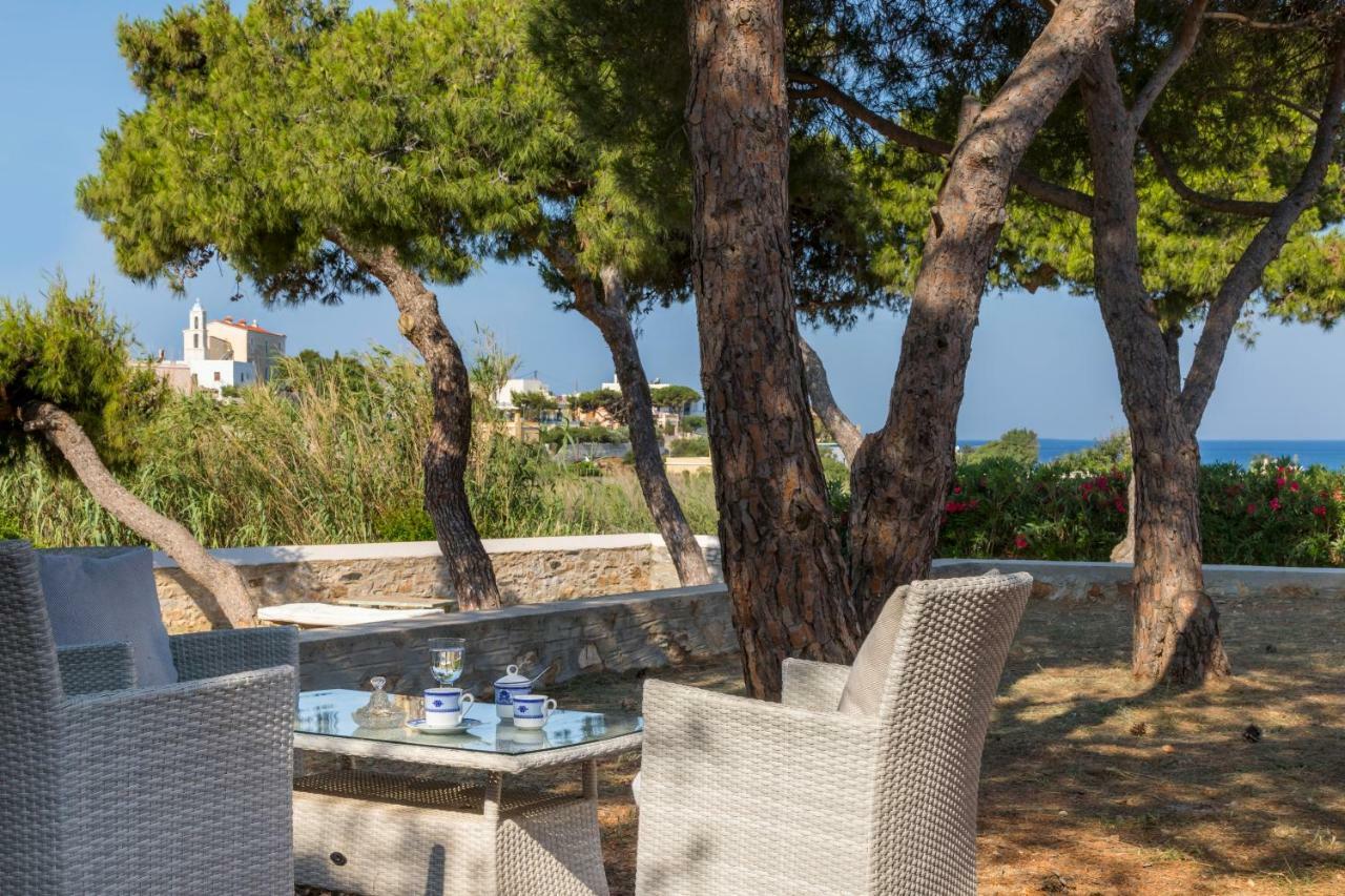 Dellagracia Mansion In Poseidonia Syros Villa Posidhonia  Exterior photo