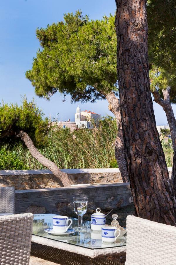 Dellagracia Mansion In Poseidonia Syros Villa Posidhonia  Exterior photo